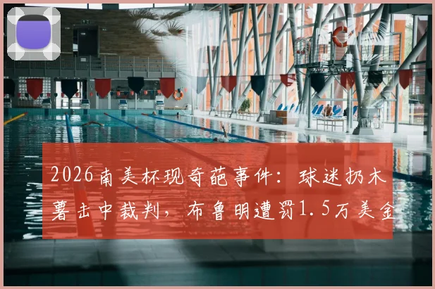 2026南美杯现奇葩事件：球迷扔木薯击中裁判，布鲁明遭罚1.5万美金！详解南美足联处罚规定与球场安全准则