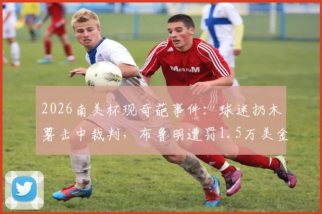 2026南美杯现奇葩事件：球迷扔木薯击中裁判，布鲁明遭罚1.5万美金！详解南美足联处罚规定与球场安全准则